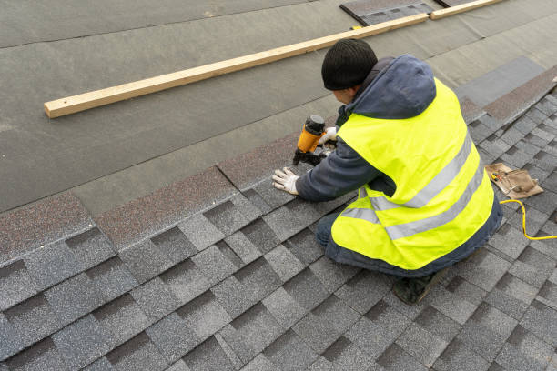 Best Storm Damage Roof Repair  in Carrollton, KY