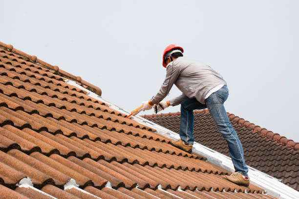 Best Chimney Flashing Repair  in Carrollton, KY